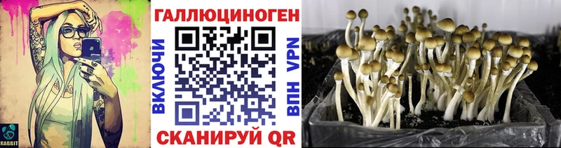 Псилоцибиновые грибы GOLDEN TEACHER  Черемхово 